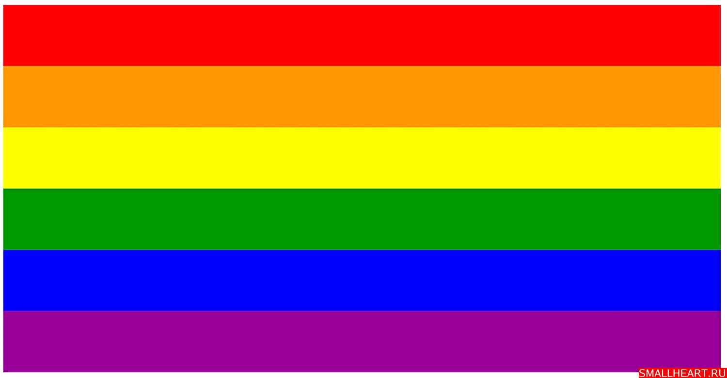 2.0US $ 60% OFF|LGBT Rainbow Flag Sticker Car Decal Bumper Sticker Gay Prid...